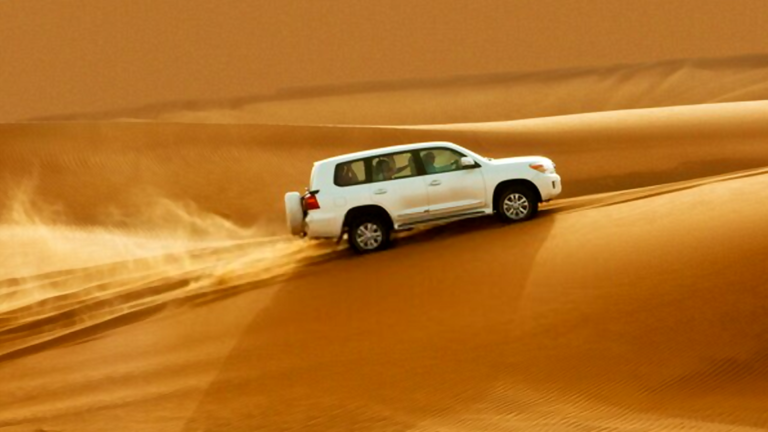 Desert Safari